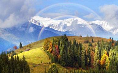 国际旅行社注册及经营国内旅游业务指南